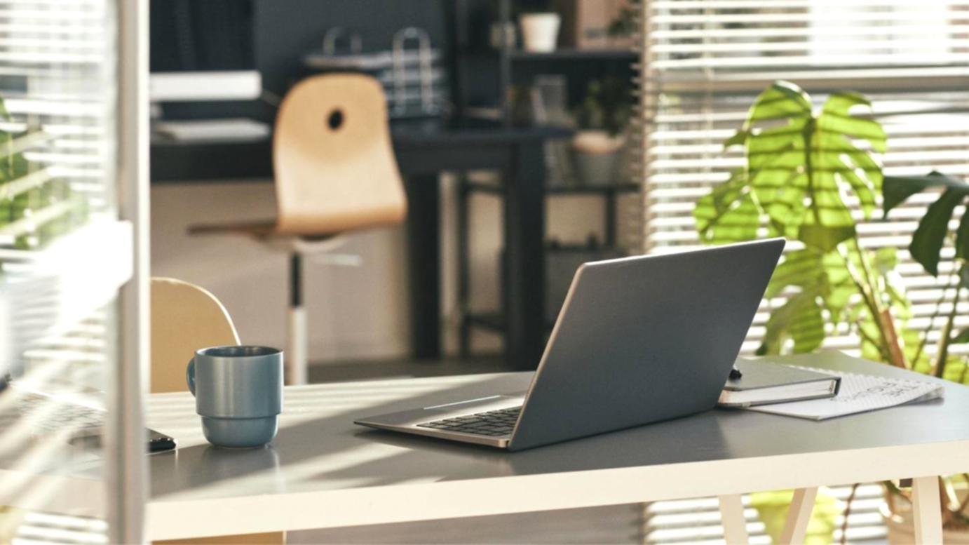 Workshop-Teilnehmer bei praktischen Übungen